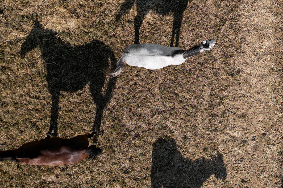 Elite Coaching Workshop – 4